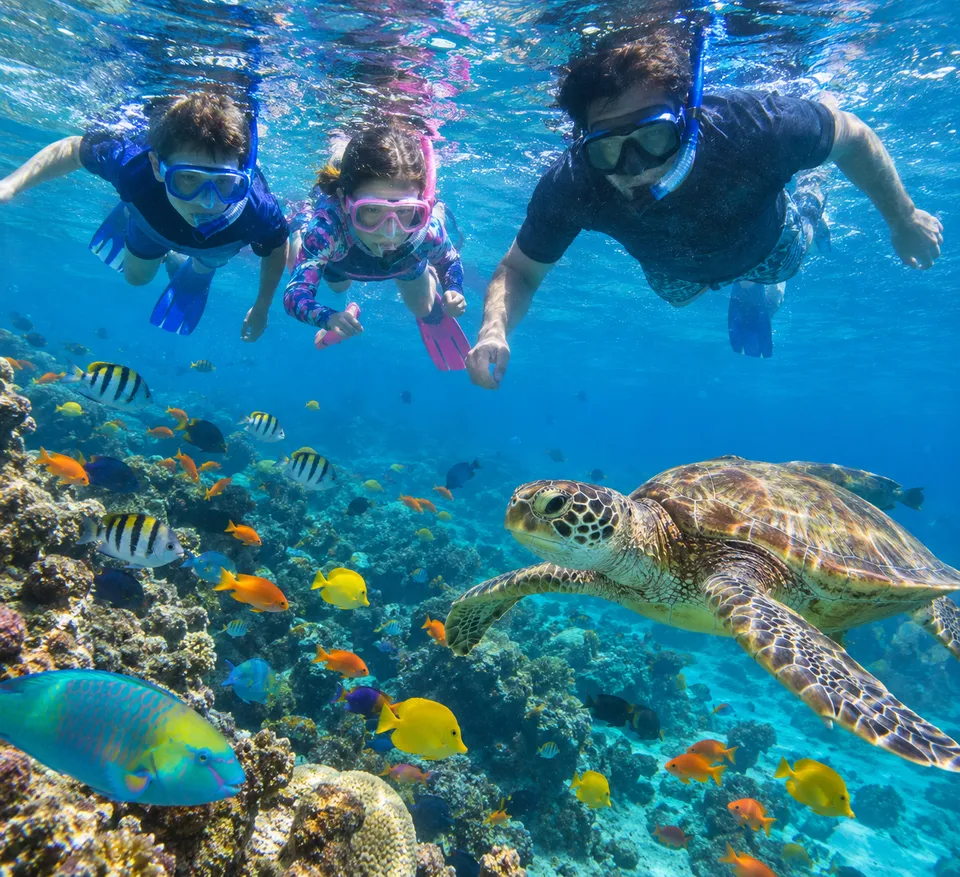 Dimaniyat